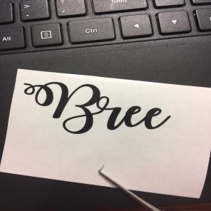 Name Decal X5