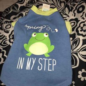 Medium Puppy T Shirt