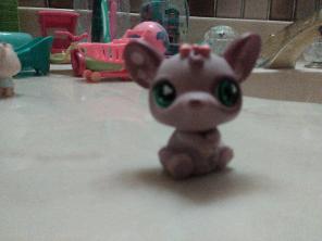LPS Mouse :3 For Customs