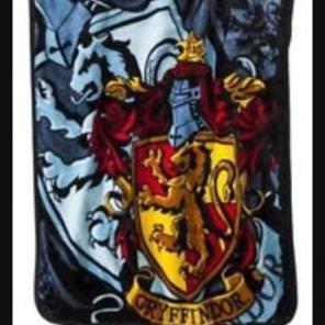 Harry Potter blanket