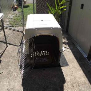 Large Dog Cage