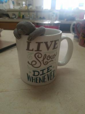 Sloth tea diffuser and mug!