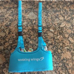 Walking Wings Learning To Walk Assist