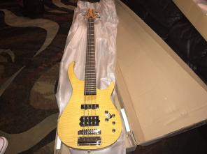 Rogue String Electric Bass Guitar LX408