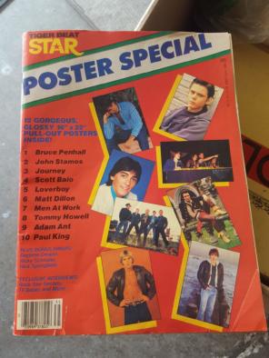 Tiger beat star poster special magazine