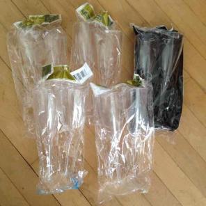 Plastic Champagne Glasses