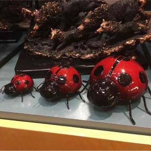 Lady bugs set