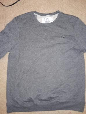 Champion sweatshirt