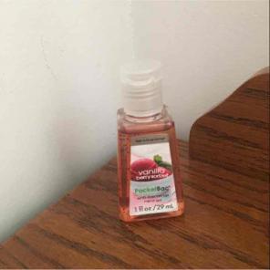 Vanilla Berry Sorbet Pocketbac