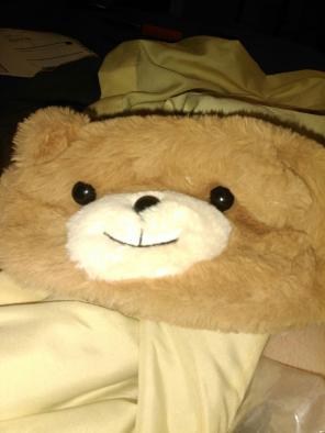 Teddy bear bag