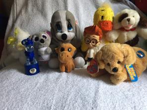 Variety Toys