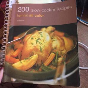 Crock pot slow cooker recipe book small