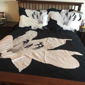 Target Brand Duvet Set (full/queen)