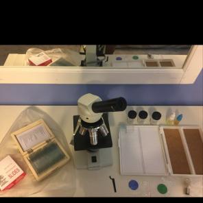 Microscope