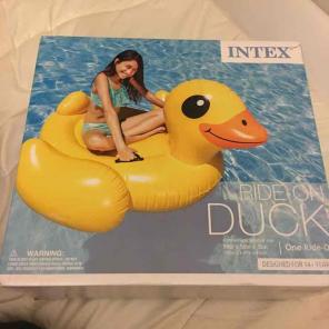 Large Duck Float