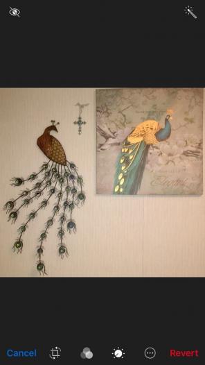 Two Piece Peacock Decor From kirklands.