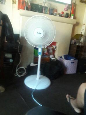 Lfan