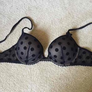 NWOT Gap black velvet polka dot bra 32C