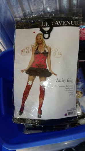 Ladybug costume