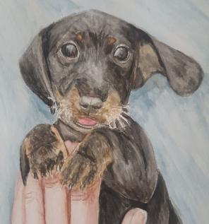 Dog watercolor painting