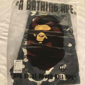 Bape City Camo Shorts