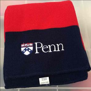 UPenn red and blue scarf new