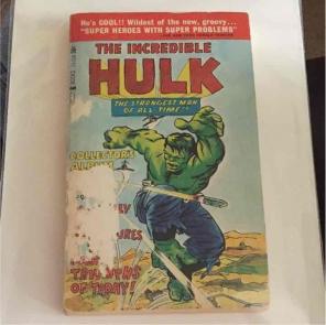 The Incredible Hulk Illustrated Book