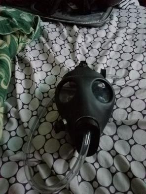 Adult Gas Mask
