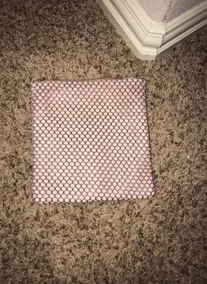 Pink Makeup Bag