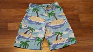 Boden Swim Shorts