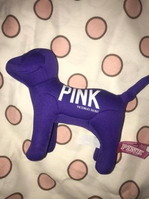 Purple Victoria's Secret Pink Dog