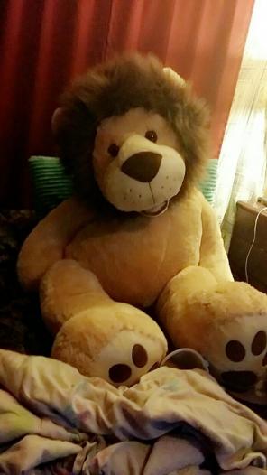 Big lion