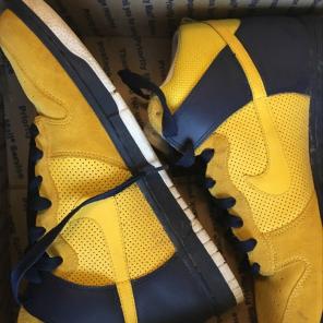Michigan Wolverines Nike Dunks