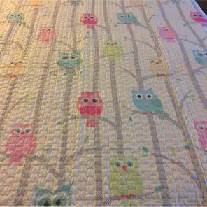 Full Owl Coverlet Set