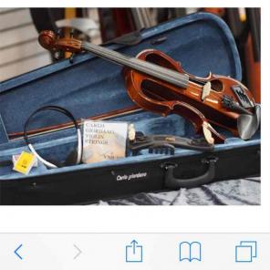 Electric violin