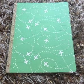 Green Airplane Journal