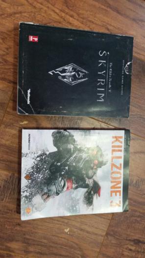 Gamer Guides
