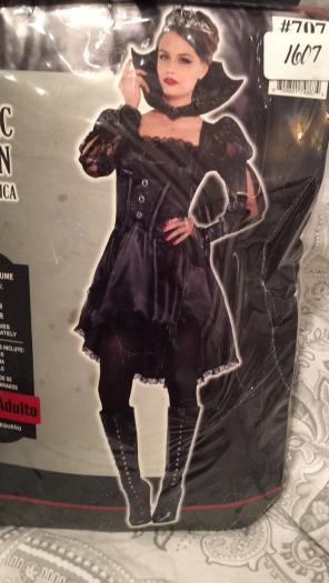 Evil Queen Costume