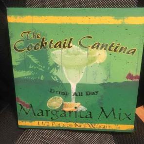 Tropical cocktail canvas pair