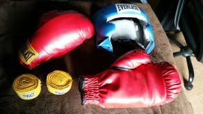 Everlast Boxing Equipment
