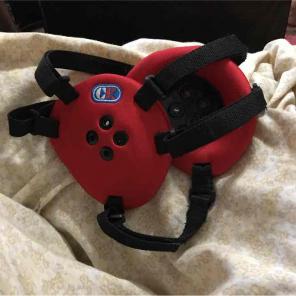 Wrestling HeadGear