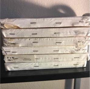 6 canvases (measure 8"x10") 8 inch 10 in
