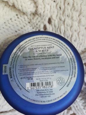 eucalyptus mint and waves 3 wick