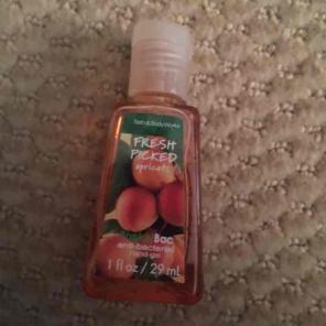 fresh picked apricots pocketbac bbw