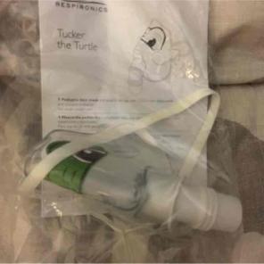 Teenage mutant ninja mask