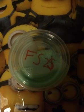 Green blast fluffy slime