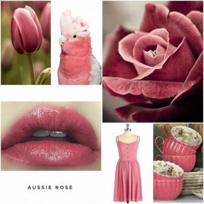 LipSense Aussie Rose