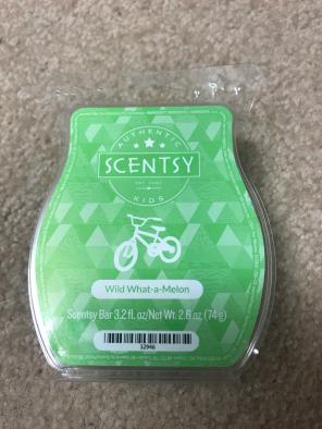 Wild What-a-melon Scentsy Bar