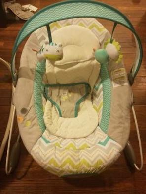 Ingenuity Baby Bouncer
