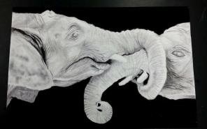 Elephant Drawing